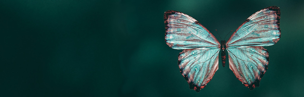 Tienda Banner