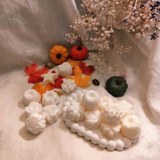 Ceras perfumadas para quemador