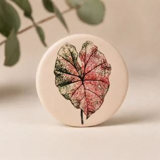 Imán botánico circular de cerámica blanca con ilustración de hoja de caladio en tonos rosa, verde y crema