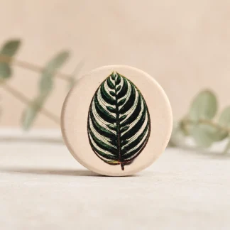 Imán botánico circular de cerámica blanca con ilustración de hoja de calathea makoyana de franjas verdes