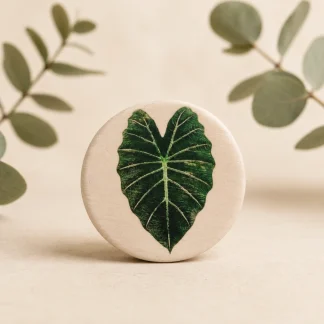 Imán botánico circular de cerámica blanca con ilustración de hoja de oreja de elefante verde
