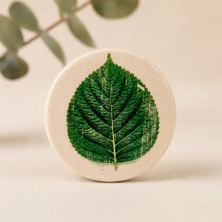 Imán botánico circular de cerámica blanca con ilustración de hoja de fresno verde