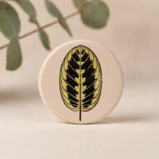 Imán botánico circular de cerámica blanca con ilustración de hoja de maranta leuconeura