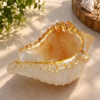 Concha dorada